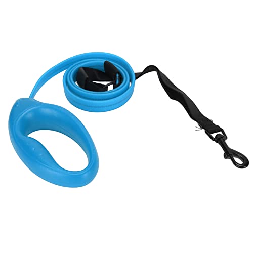 LED-Haustierleine, Wiederaufladbare LED-Leucht-Hundeleine 4 Fuß Nylon mit Universalhalsband für Kleine Hunde für Große Hunde (Blue) von Naroote