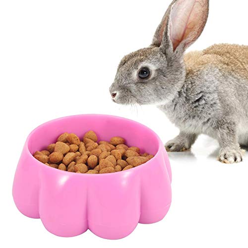 Pet Bowl, Pet Food Feeder, haltbare Blume Food Feeding Bowl Kunststoff Hamster für kleine Haustiere(red) von Naroote
