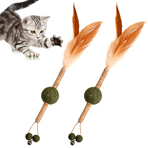 Naseom 2 Stück Katzenminze Sticks, Katzenminze Spielzeug Katzensticks Zur Zahnreinigung Katzen Kausticks Spielzeug, Natürliches Katzenminze Spielzeug mit Federn und Glocken von Naseom