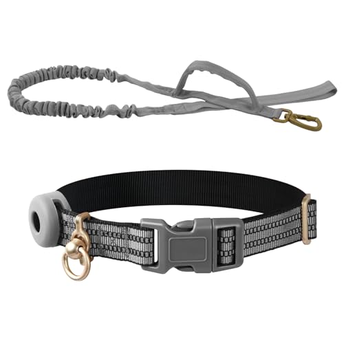 Reflektierendes Hundehalsband Verstellbar Gepolstert Weiches Neopren Atmungsaktiv Halsbänder, mit Hundetrainingsleine Sicherheitsschnalle Inklusive Hundeleine Für Kleine Mittlere Große Hunde (Grau) von Naseom