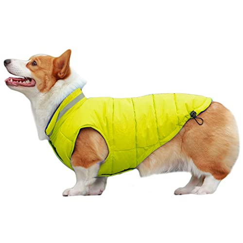 Hundemantel Wendejacke Wasserdicht Winddicht Reflektierende Weste Kleidung für Welpen Kleine Mittlere Große Hunde (4XL, Grün) von NashaFeiLi