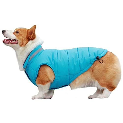 Hundemantel Wendejacke Wasserdicht Winddicht Reflektierende Weste Kleidung für Welpen Kleine Mittlere Große Hunde (5XL, Blau) von NashaFeiLi