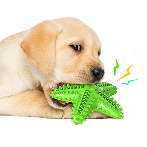 Quietschendes Hundespielzeug, interaktives Kauspielzeug, Zahnreinigung, schwimmendes Spielzeug für kleine, mittelgroße und große Hunde (grün) von NashaFeiLi