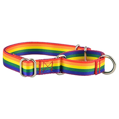 Martingale Halsband für Hunde, Rutschfestes Welpentraining für Jungen oder Mädchen, kleine oder große Hunde, niedliche Blume, rosa, amerikanische Flagge Muster (groß, Regenbogenflagge) von Native Pup