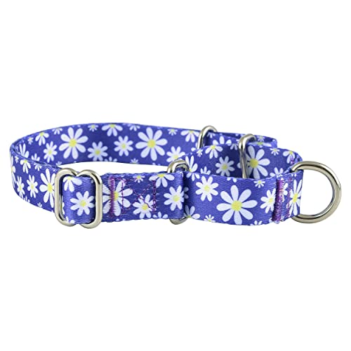 Martingale-Halsband für Hunde, rutschfestes Welpentraining für Jungen oder Mädchen, kleine oder große Hunde, niedliche Blume, Rosa, amerikanische Flaggenmuster (Medium, Gänseblümchen) von Native Pup