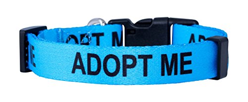 Native Pup Adopt Me Hundehalsband, groß, Blau von Native Pup