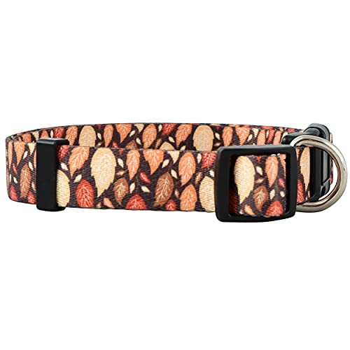 Native Pup Erntedankfest Hundehalsband, niedlicher Herbst, Herbst, Türkei Urlaub Design, verstellbares Nylon, klein, mittel, groß (Blätter, klein) von Native Pup