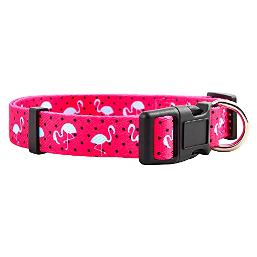 Native Pup Frühlings-Hundehalsband, niedliche Sommer-Designs für Mädchen und Jungen (Flamingo, klein) von Native Pup