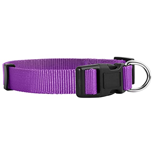 Native Pup Hundehalsband, Nylon, klassisch, einfarbig, Größe M, Violett von Native Pup