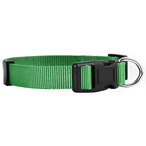 Native Pup Hundehalsband, Nylon, klassisch, einfarbig, groß, Grün von Native Pup