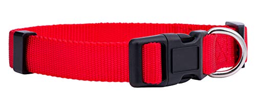 Native Pup Hundehalsband, Nylon, klassisch, einfarbig, groß, Rot von Native Pup