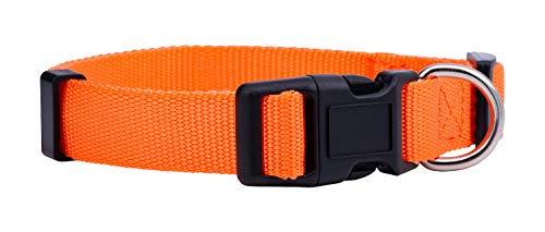 Native Pup Hundehalsband, Nylon, klassisch, einfarbig, klein, Orange von Native Pup