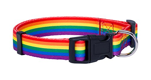 Native Pup Hundehalsband, Regenbogen-Flagge, Gay Pride Stuff für Parade, LGBTQ Flaggen, Equality Pet Apparel Decor Gift and LGBT Ally Accessories (mittel) von Native Pup