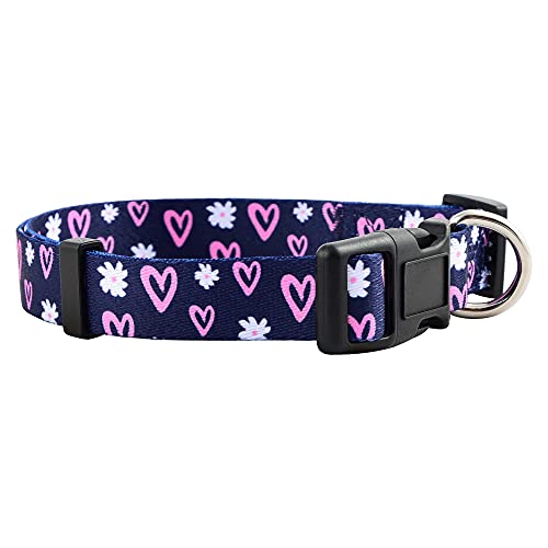 Native Pup Hundehalsband-Kollektion für Mädchen, niedliches rosa Muster für Damen, klein, mittel, groß (Herzen, groß) von Native Pup