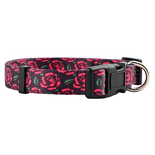 Native Pup Hundehalsband-Kollektion für Mädchen, niedliches rosa Muster für Damen, klein, mittel, groß (Rosen, groß) von Native Pup