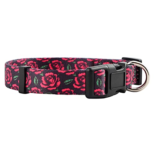 Native Pup Hundehalsband-Kollektion für Mädchen, niedliches rosa Muster für Damen, klein, mittel, groß (Rosen, klein) von Native Pup