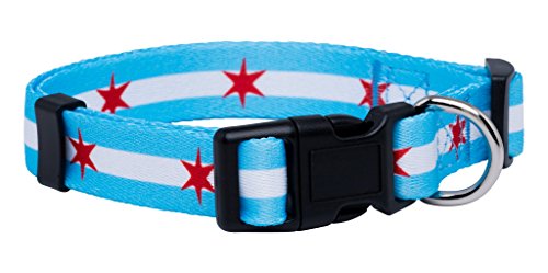 Native Pup Hundehalsband mit Chicago-Flagge (klein, große Sterne) von Native Pup