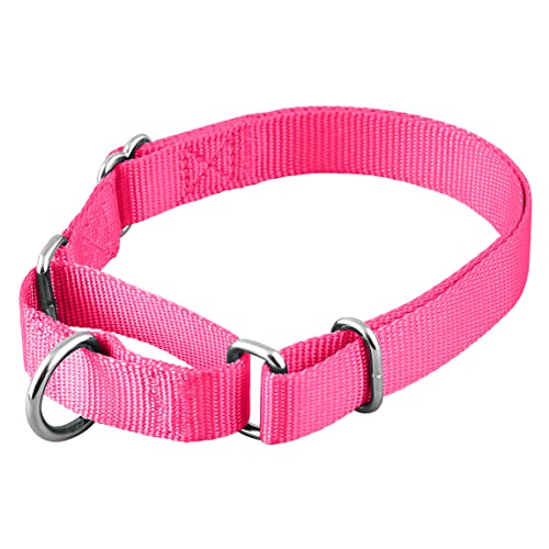 Native Pup Martingale Hundehalsband, verstellbar für kleine, mittelgroße und große Haustiere und Welpen, niedliche Farben für Männer, Frauen, Jungen, Mädchen, Welpen (Größe M, Hot Pink) von Native Pup