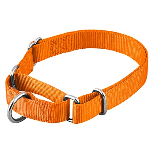 Native Pup Martingale Hundehalsband, verstellbar für kleine, mittelgroße und große Haustiere und Welpen, niedliche Farben für Männer, Frauen, Jungen, Mädchen, Welpen (Größe M, Orange) von Native Pup