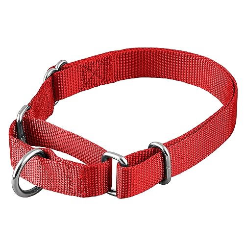 Native Pup Martingale Hundehalsband, verstellbar für kleine, mittelgroße und große Haustiere und Welpen, niedliche Farben für Männer, Frauen, Jungen, Mädchen, Welpen (Größe M, Rot) von Native Pup