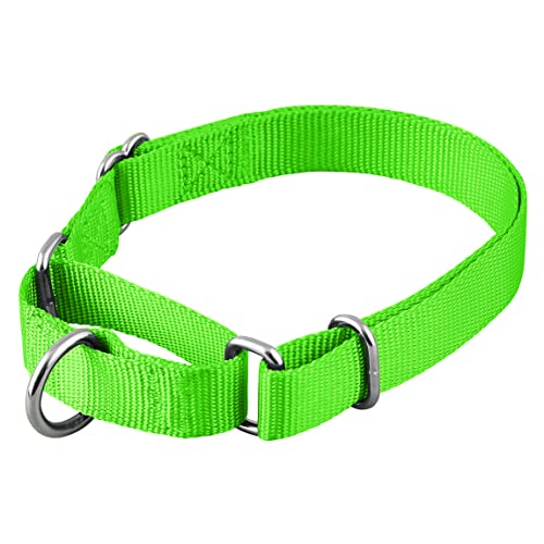 Native Pup Martingale Hundehalsband, verstellbar für kleine, mittelgroße und große Haustiere und Welpen, niedliche Farben für Männer, Frauen, Jungen, Mädchen, Welpen (groß, Neon) von Native Pup