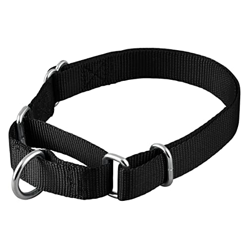 Native Pup Martingale Hundehalsband, verstellbar für kleine, mittelgroße und große Haustiere und Welpen, niedliche Farben für Männer, Frauen, Jungen, Mädchen, Welpen (groß, schwarz) von Native Pup