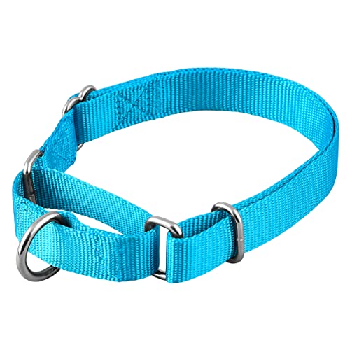 Native Pup Martingale Hundehalsband, verstellbar für kleine, mittelgroße und große Haustiere und Welpen, niedliche Farben für Männer, Frauen, Jungen, Mädchen, Welpen (Größe M, Blau-Türkis) von Native Pup