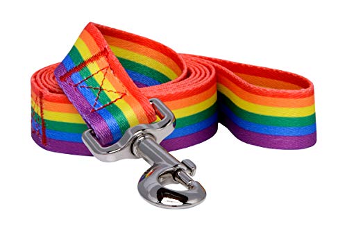 Native Pup Gay Pride LBGTQ Hundeleine, Regenbogenflagge, 1,5 m, Regenbogenfarben von Native Pup