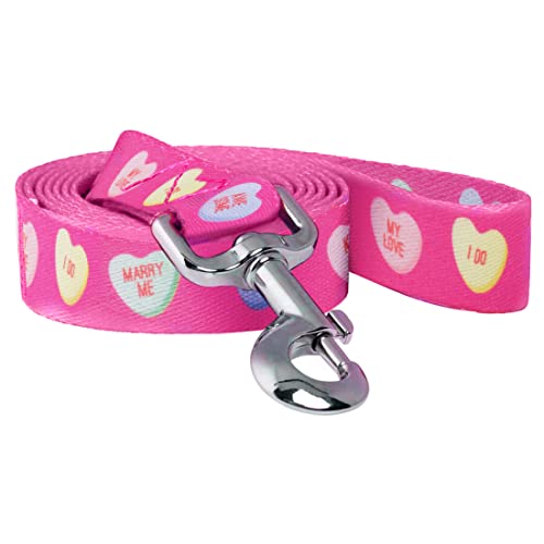 Native Pup Valentinstag Hundeleine (Valentinstag Candy Hearts) von Native Pup