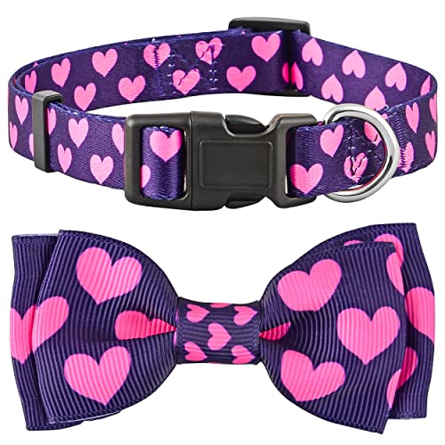 Valentine Hundehalsband mit Fliege Herz Fliege Valentinstag für Große, Mittlere und Kleine Hunde (Kleine, Valentinstag Rosa Herzen) von Native Pup