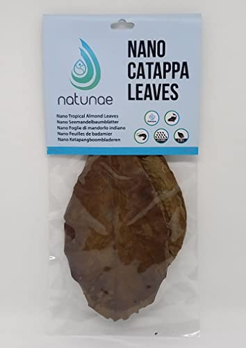 Natunae - Nano Seemandelbaumblätter für kleine Süßwasser Aquarien 12 stück - Catappa Leaves Für Aquarium Fische Betta, Garnelen, Welse von Natunae