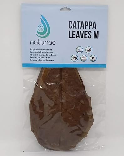 Natunae - Seemandelbaumblätter Catappa Leaves M - 10 stück - Natürliche Wasseraufbereiter Nahrungsergänzung Für Süßwasseraquarium Fische Betta, Garnelen, Welse - Fischfutter & Garnelenfutter von Natunae