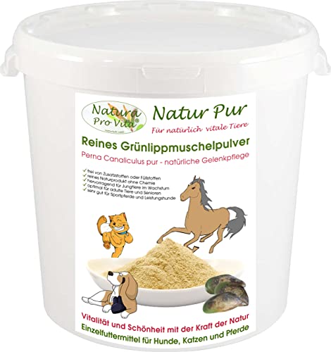 Grünlippmuschelpulver für Pferde Naturprodukt Glycosaminoglycane (Gag) gut für Knochen Sehnen Gelenke Haut Fell Natura Pro Vita 100% naturreines Grünlippmuschelpulver hohe Bioverfügbarkeit 500g Eimer von Natura Pro Vita