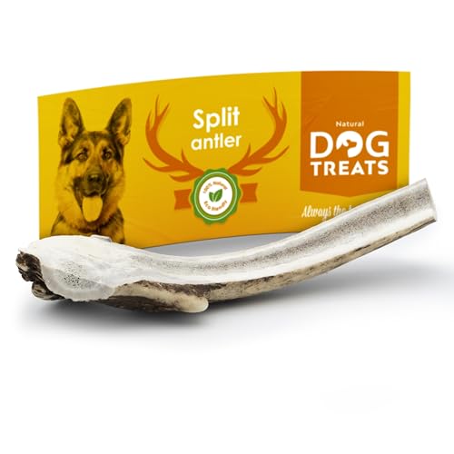 Natural Dog Treats - Hirschgeweih Hund - Natürlich Geweih für Hunde - Kauknochen Hunde Groß - Kaustangen Hund - Kauspielzeug und Zahnpflege - Große Größe - Hundespielzeug von Natural Dog Treats