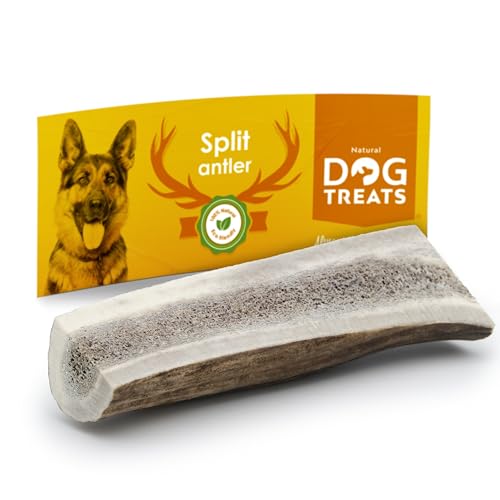 Natural Dog Treats - Hirschgeweih Hund - Natürlich Geweih für Hunde - Kauknochen Hunde - Kaustangen Hund - Kauspielzeug und Zahnpflege - Mittlere Größe - Hundespielzeug von GIGIL treat your pet like a king