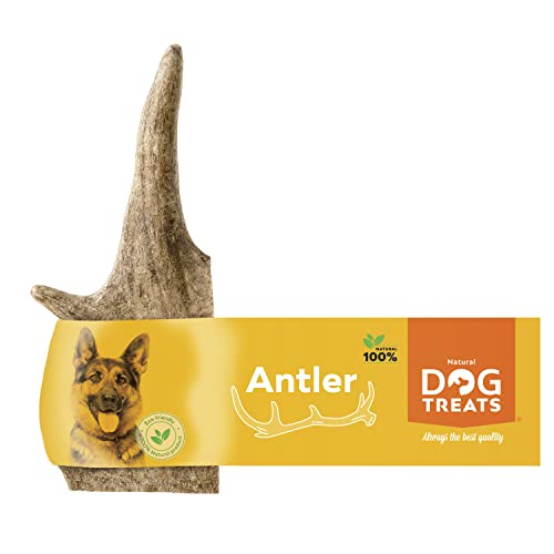 Natural Dog Treats - Hirschgeweih für Hunde - Natürlich Kauknochen Hund - Geweih für Hunde - Kaustangen Hund - Kauspielzeug und Zahnpflege - Hundespielzeug - Kleine Größe (50-75g) von Natural Dog Treats