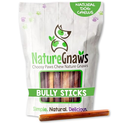 Nature Gnaws Small Bully Sticks for Dogs - Premium Natural Beef Bones - Thin Long Lasting Dog Chew Treats for Light Chewer... von Nature Gnaws