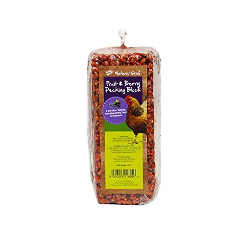 Nature's Grub Fruit & Berry Pecking Block, 280 g, 6 Stück von Nature's Grub