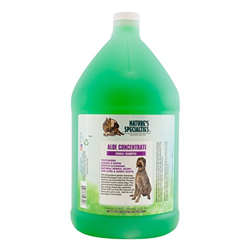 Nature's Specialties Aloe Concentrate Kräuter-Hundeshampoo - Tiefenreinigendes Shampoo für Hunde & Katzen - Perfekt für Juckende oder Empfindliche Haut - Verleiht Volumen, 3.8L von Nature?s Specialties Mfg