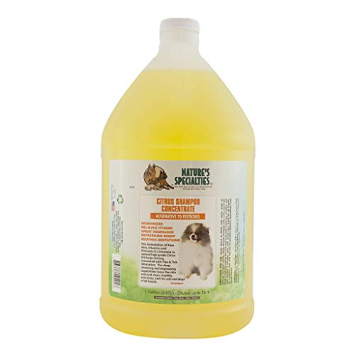 Nature's Specialties Citrus Hundeshampoo -Sensitive Shampoo für Juckende Haut - Lindert Irritationen bei Floh & Zeckenbefall - Beruhigt Gereizte Haut - Tiefenreinigung für Glänzendes Fell, 3.8L von Nature?s Specialties Mfg