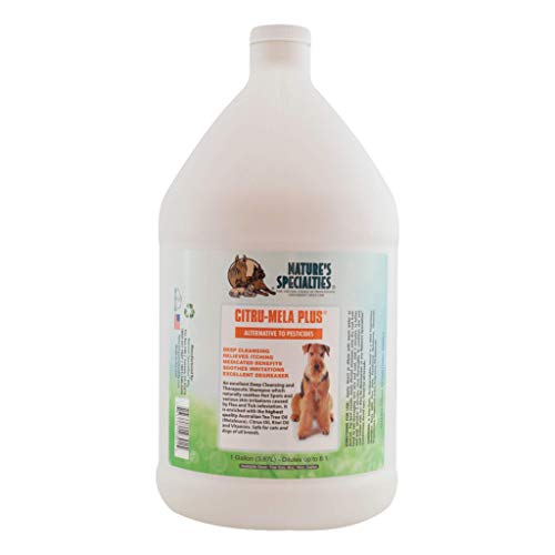 Nature's Specialties Citru-Mela Plus Hundeshampoo - Therapeutisches Hundeshampoo für juckende Haut - Beruhigt & Stellt die Durch Floh & Zeckenbefall Geschädigte Haut Wieder Her, 3.8L von Nature?s Specialties Mfg