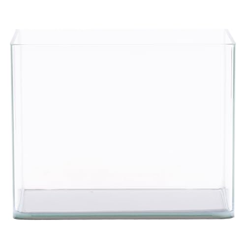 Curved Garden Tank Pico | Nano Aquarium aus Glas | Glasbecken | Premium Aquascaping Aquarien | 5 Liter - 22x15x17cm Curved Garden Tank Pico | Nano Aquarium aus Glas | Glasbecken | Premium Aquascaping Aquarien | 5 Liter - 22x15x17cm von NatureHolic