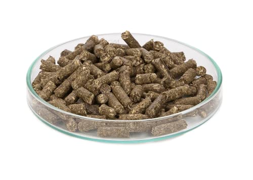 Garnelio - Echinacea Sticks - 25 g - Garnelen Futter von NatureHolic