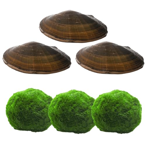 Natürlichers Teichfilter Set | Natürliche Teichpflege für einen klaren & sauberen Gartenteich & Fischteich | 3X Japanischer Marimo Algenball & 3X Teichmuschel von NatureHolic