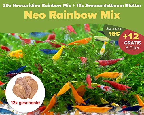 NatureHolic - 20x Neo Regenbogen Garnelenmix + 12x Seemandelbaum Blätter - problemlose Nachzucht - ideal für Einsteiger - hübsche Mischung aus bunten Garnelen von NatureHolic