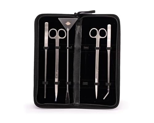 NatureHolic Aquascaping Set Silver | 5-teiliges Tool Set aus rostfreiem Edelstahl | Schere gerade & gebogen, Pinzette gerade & gebogen, Kiesspatel | Für Aquarien & Nanoaquarien | Silbernes Werkzeug von NatureHolic