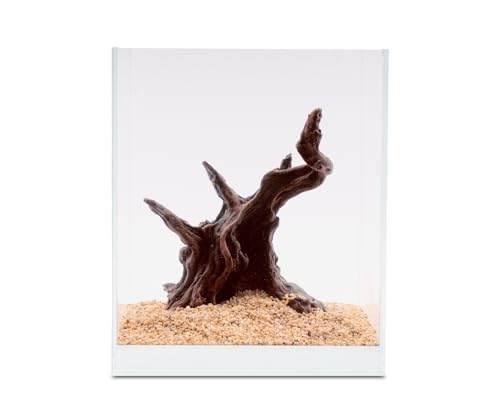 NatureHolic Ready to Scape Mystical Tree | Aquarium Deko Baum aus Kunstharz | Wasserneutral und zum Bepflanzen | Natürliches Dekoration für Aquarien | Ideal für Nano Aquarium ab 20cm von NatureHolic