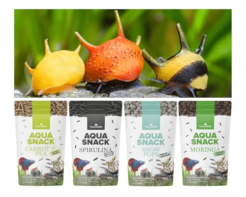 NatureHolic Schneckenfutter Snackbundle | Natürliche Futtersticks für Aquarienschnecken im Aquarium | Gesunde Ernährung & Gehäusewachstum | Zusatzfutter für Schnecken im Aquarium von NatureHolic