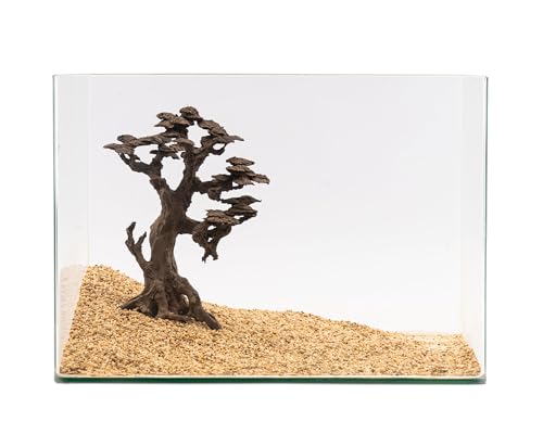 NatureHolic Stone Bonsai Hoshizora no Ki | Premium Scape für Aquarien | Mittelgroßer Bonsai-Baum aus Stein | Perfekt für Moos | Ideal für Aquarium 30-60 L | 23 x 30 x 12 cm von NatureHolic