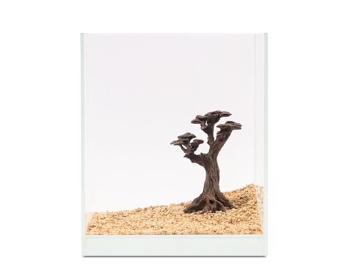 NatureHolic Stone Bonsai Pico | Premium Scape für Aquarien | Kleiner Bonsai-Baum aus Stein | Perfekt für Moos | Ideal für kleines Aquarium 10-20 L | 14,5 x 13 x 6cm von NatureHolic